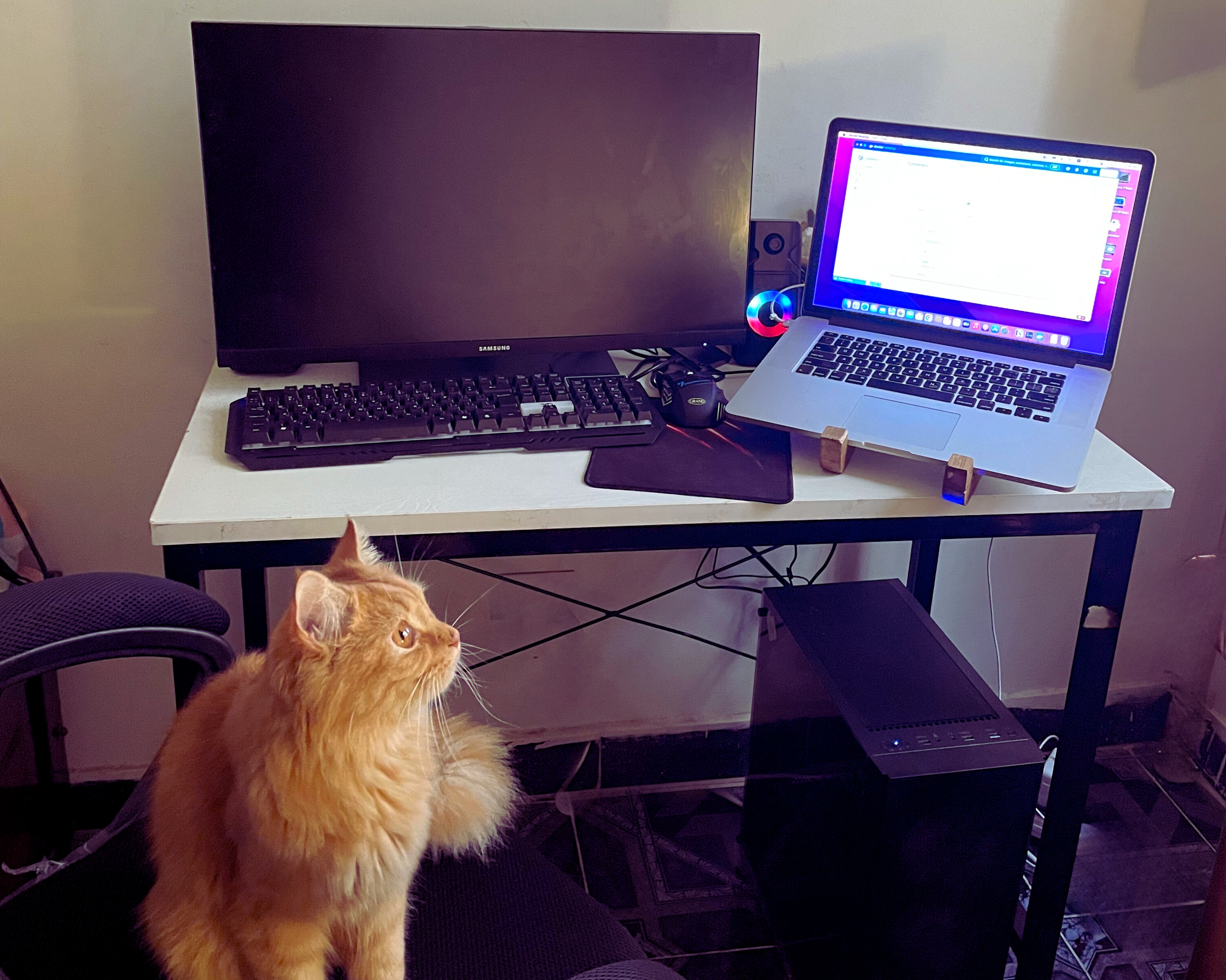 AbdElrahman Hassan Nasr working on his computer